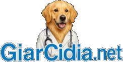 Giarcidia Logo